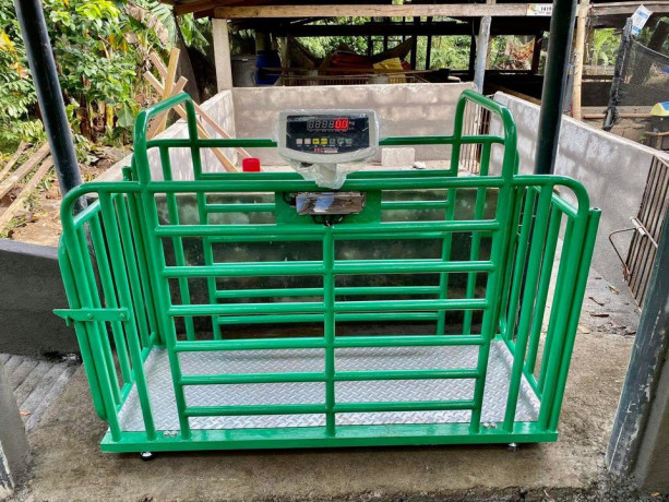 veterinary-weighing-scales-for-veterinarians-and-clinics-big-0